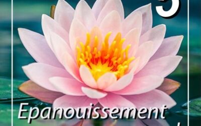 Noël 2025 : le petit dernier des albums « Epanouissement personnel », le numéro 5